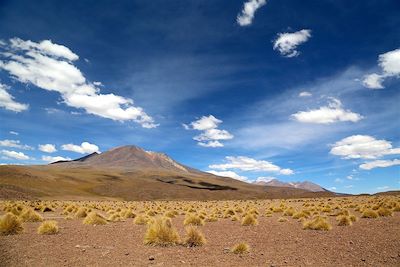 Route des joyaux - Sud Lipez - Bolivie