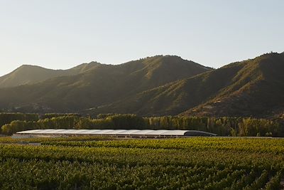 Vina Vik - Santa Cruz - Chili