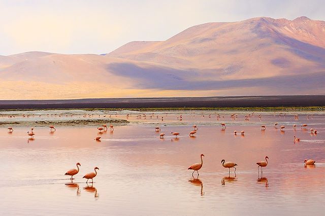 Découverte Chili Uyuni et Sud Lipez