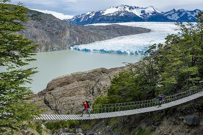 © Franck Charton - Mirador du glacier Grey - Parc national Torres del Paine - Patagonie - Chili Mirador du glacier Grey - Parc national Torres del Paine - Patagonie - Chili
