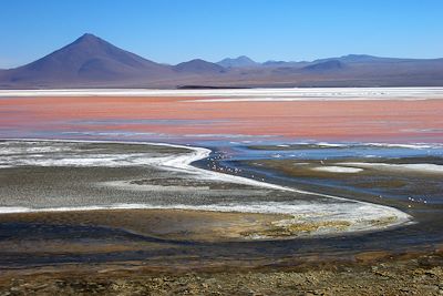 © Denis Chambon - La Laguna Colorada - Bolivie La Laguna Colorada - Bolivie