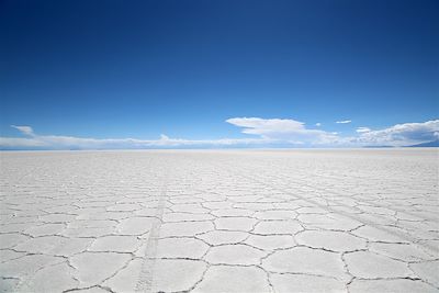 © Thomas Callens - Salar d'Uyuni - Bolivie Salar d'Uyuni - Bolivie