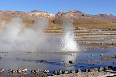 © Claudine Pailhès - Geysers du Tatio - Chili Geysers du Tatio - Chili