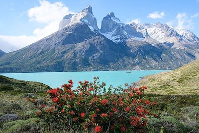 Los Cuernos - Parc national Torres del Paine - Chili