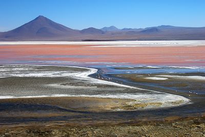 La Laguna Colorada - Bolivie