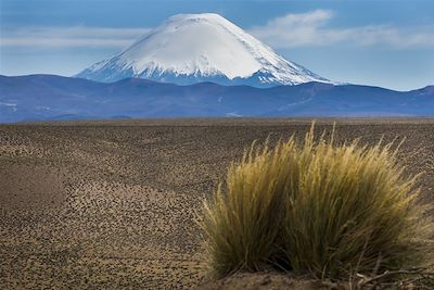 Volcans Parinacota dans le Parc National Lauca - Chili