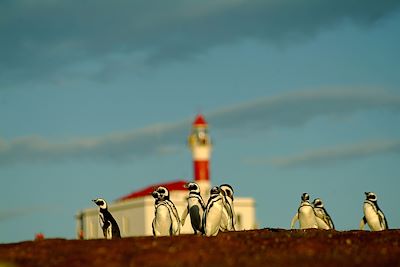 Détroit de Magellan et Cap Horn 