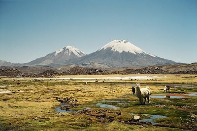 Parc national Lauca - Parinacota - Chili