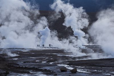 Voyage Sur les routes chiliennes, entre salars et volcans 1