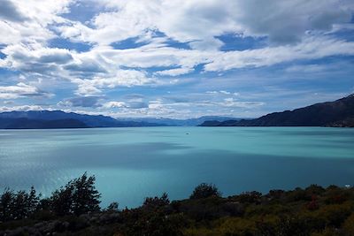 Lago Viedma - Patagonie