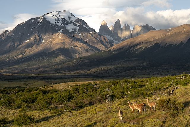 Voyage : Trek du Fitz Roy à la Terre de Feu Voyage Trek du Fitz Roy à la Terre de Feu
