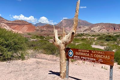 © Juliette De Swarte - Quebrada de las Flechas - Les Vallées Calchaquies - Argentine Quebrada de las Flechas - Les Vallées Calchaquies - Argentine