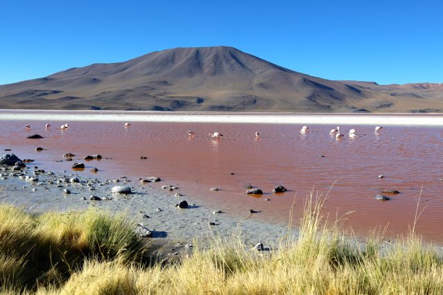 Image Du désert d'Atacama au salar d'Uyuni