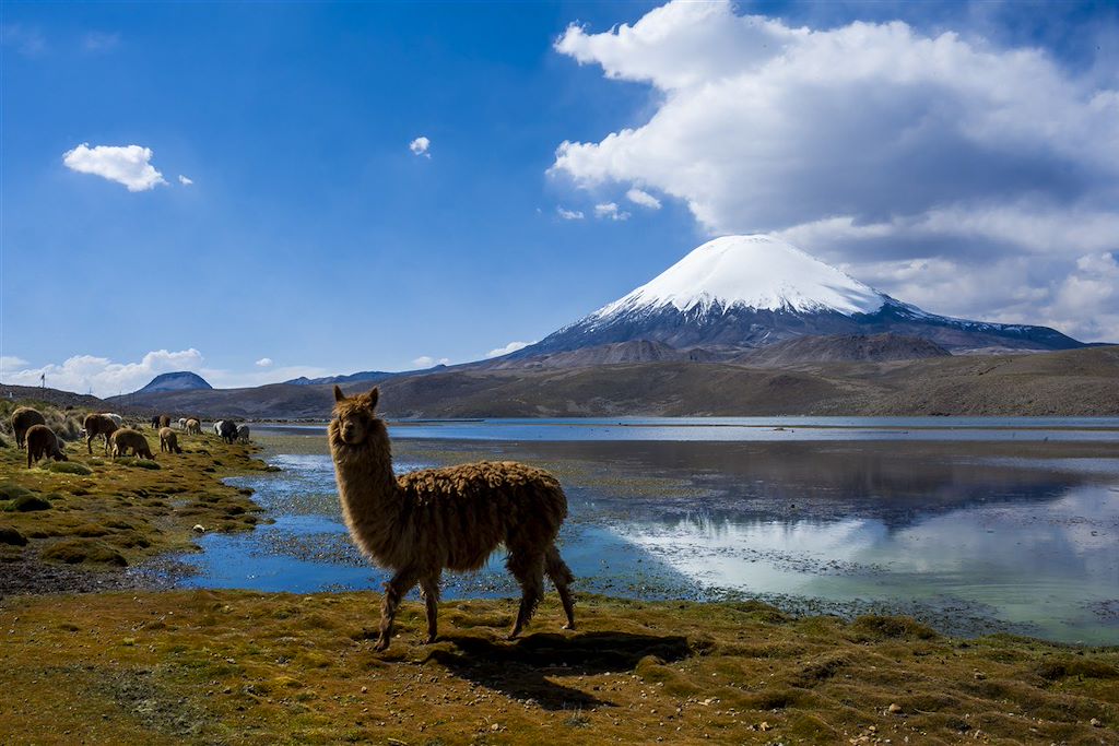 Image Randonnée Atacama - Découverte Salar D'Uyuni - Visite Laguna Colorada