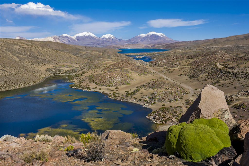 Image Randonnée Atacama - Découverte Salar D'Uyuni - Visite Laguna Colorada