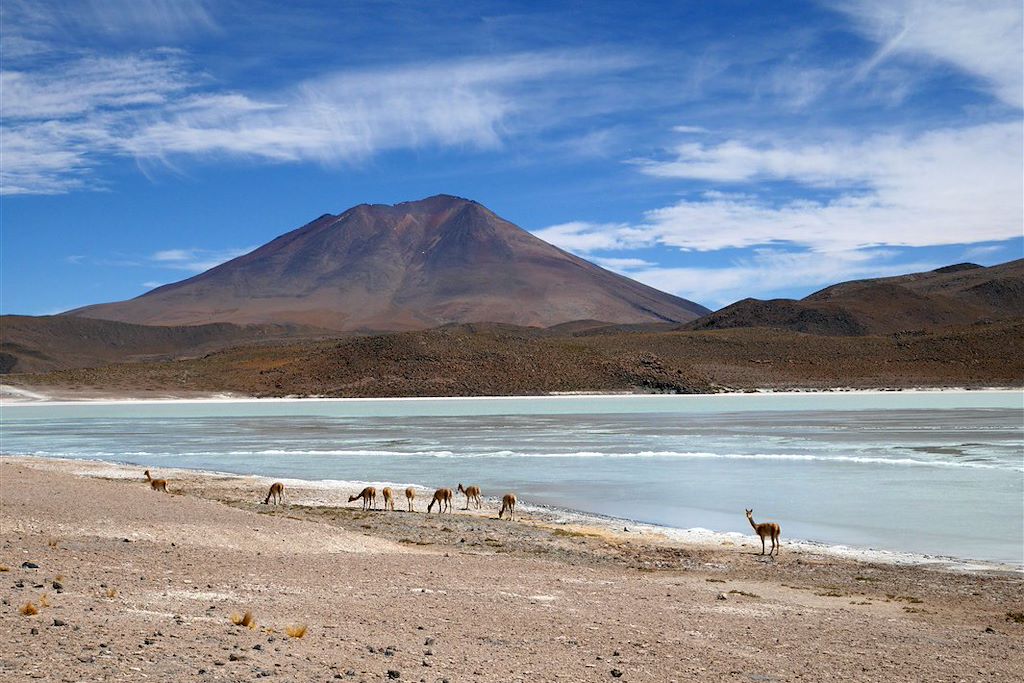 Image Randonnée Atacama - Découverte Salar D'Uyuni - Visite Laguna Colorada
