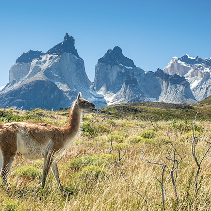 Trek Chili Patagonie argentine