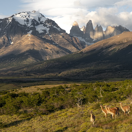 Trek Chili Patagonie argentine