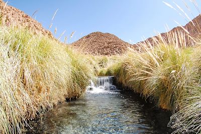 Oasis Puritama - San Pedro de Atacama - Chili