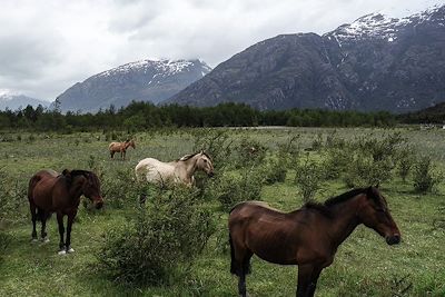 Carretera Austral - Chili