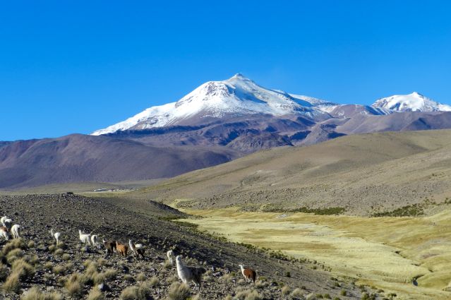Image Du salar d'Atacama au salar d'Uyuni