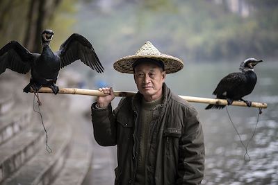Pêcheur entouré de cormorans - Chine