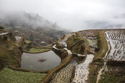 © Emmanuel Nataf - Terrasses sur la route de Zhaoxing - Chine Terrasses sur la route de Zhaoxing - Chine