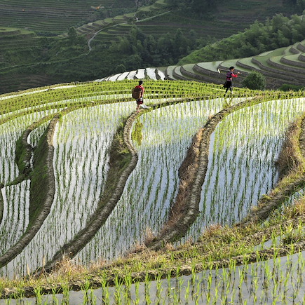 Randonnée Chine Chine de l'est