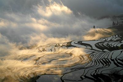 Les rizières de Yuanyang - Yunnan