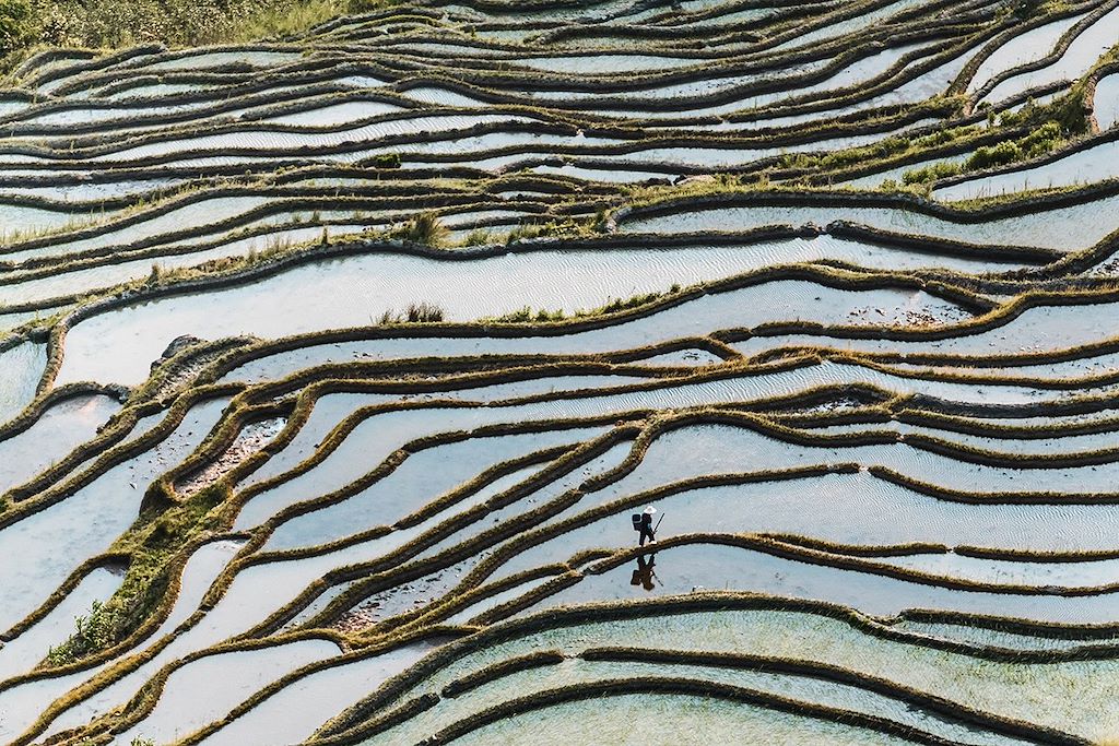 Image Randonnée Rizières Yuanyang - Visite Shangri-La - Découverte Yunnan