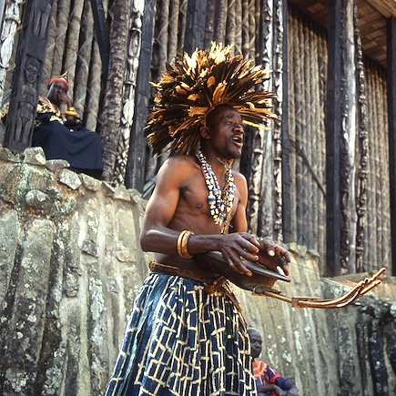 Découverte Cameroun