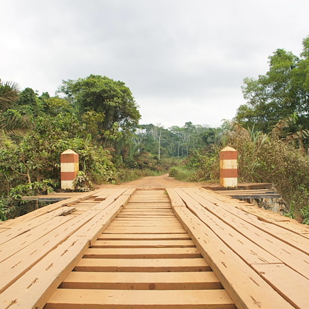 Découverte Cameroun