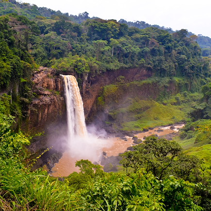 Découverte Cameroun