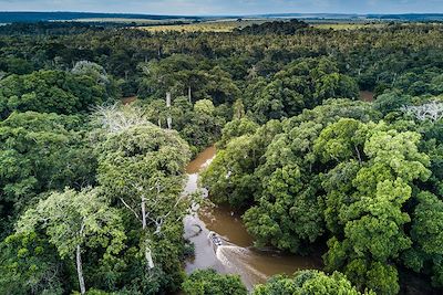 Mboko Camp - Parc national d'Odzala-Kokoua - Congo