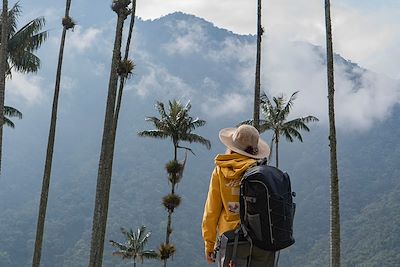 Cîmes et Palmiers, la Colombie Grandeur Nature