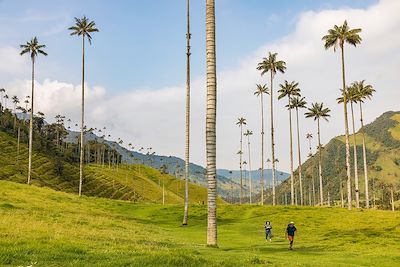 Voyage Arômes de Colombie : région du café et Caraïbes 1
