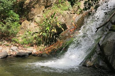 © Michael Vuillaume - Cascade de Caoba - Colombie Cascade de Caoba - Colombie