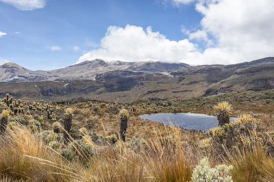 © Jhon Gracia / iStock - Los Nevados - Colombie Los Nevados - Colombie