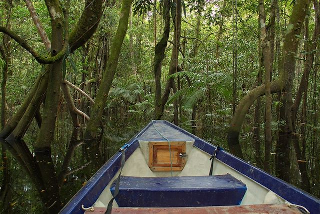 Voyage Colombie secrète, entre faune, flore et lagons