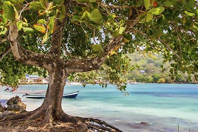 © DC / iStock - Mer des Caraïbes - Colombie Mer des Caraïbes - Colombie