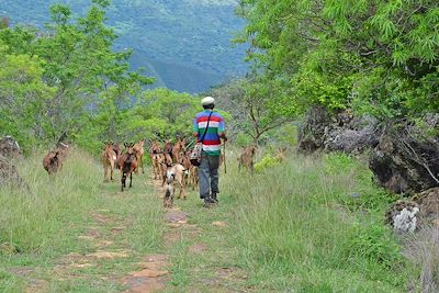© Léa Limaco - Balade jusqu'au village de Guane : rencontre avec un berger - Guane - Colombie Balade jusqu'au village de Guane : rencontre avec un berger - Guane - Colombie