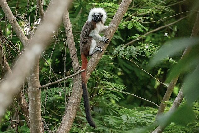 Voyage Colombie active : culture, jungle et plage
