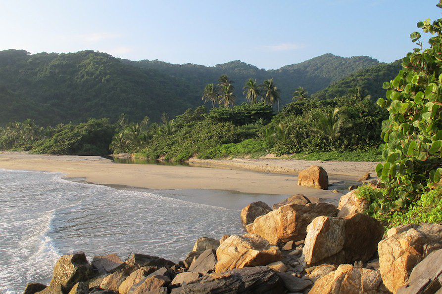 Image Trek Parc Chingaza - Communauté Kogui Tayrona - Faune sauvage Andes