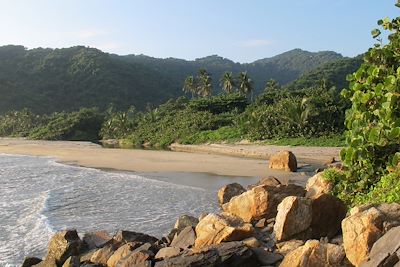 © Michael Vuillaume - Parc Tairona Playa Brava - Colombie Parc Tairona Playa Brava - Colombie