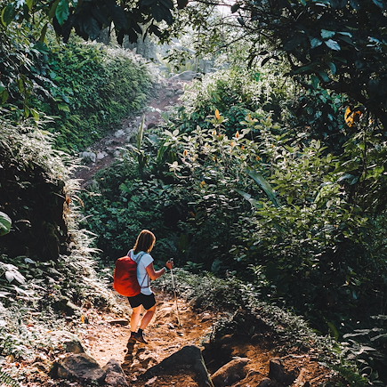 Randonnée Colombie