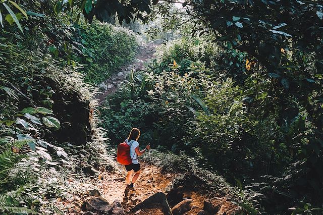 Voyage Trek et faune sauvage de Colombie