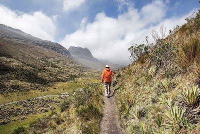 © Galyna Andrushko / Adobe Stock - Randonnée - Parc national de Chingaza - Colombie Randonnée - Parc national de Chingaza - Colombie