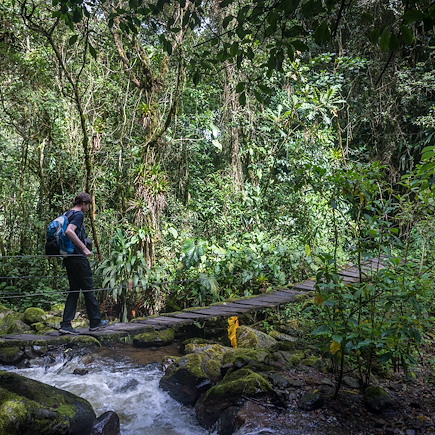 Observation animalière Colombie