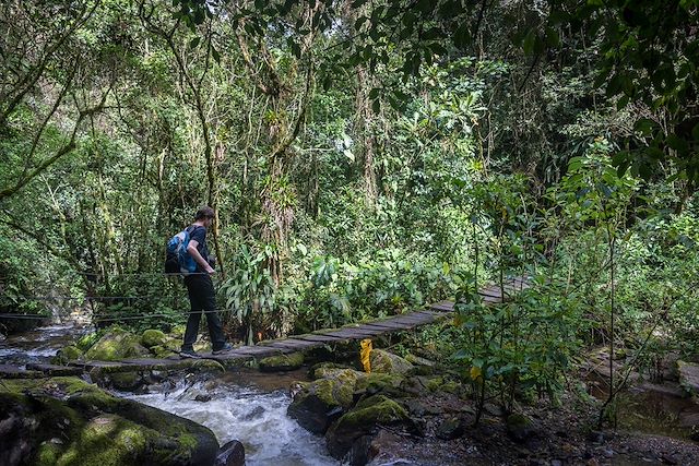 Voyage Safari exotique en Colombie