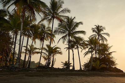 © Gudellaphoto / Adobe Stock - Plage de Choco vers Nuqui - Colombie Plage de Choco vers Nuqui - Colombie